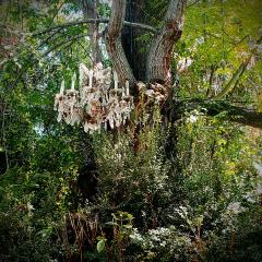 The Fae Dinning Room