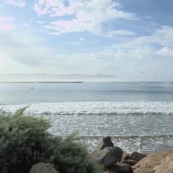 Hanging on to Morro Rock