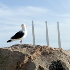 Guardian of the Stacks