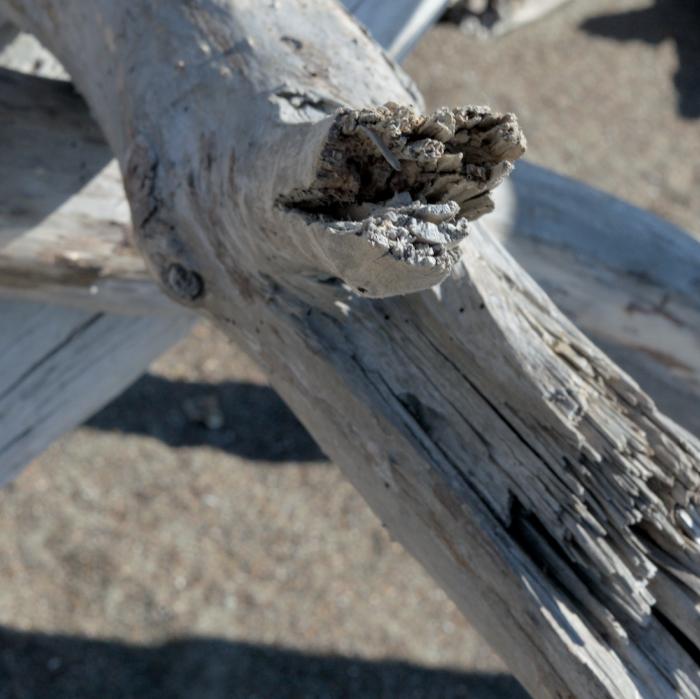 Driftwood